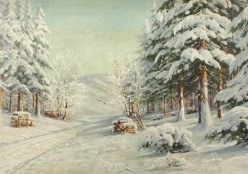 Winter Landscapes